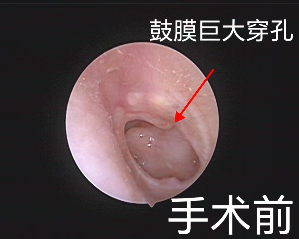 微信图片_20250417081221.jpg